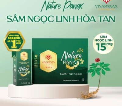 Bột Uống Sâm Ngọc Linh 